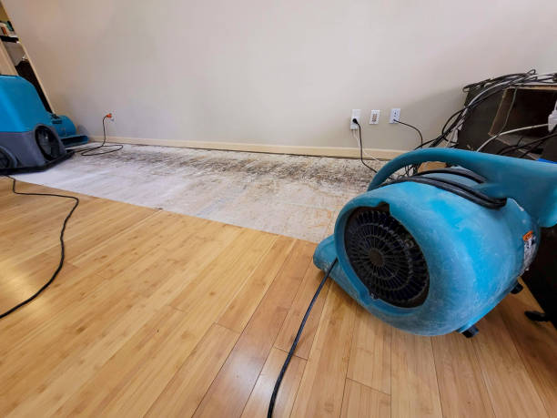 Professional Structural Drying technician working in Hamilton, WA